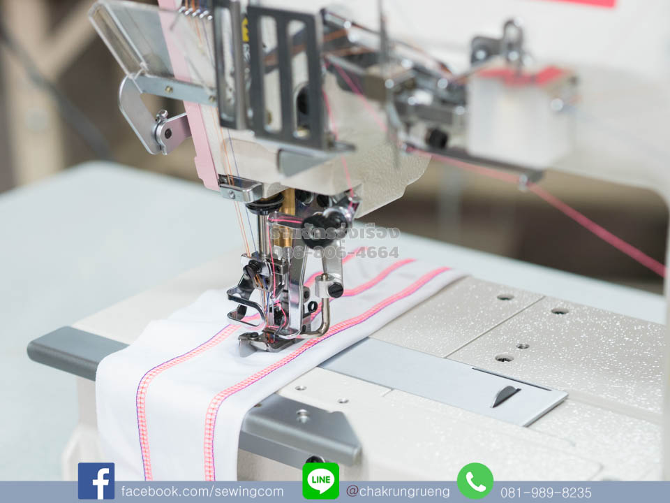 ตัวอย่างตะเข็บ